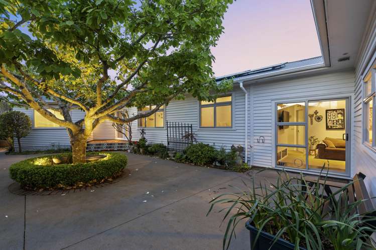 8 Blenheim Place Vogeltown_1