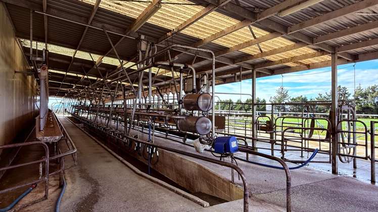 461 Chewings Road Mossburn_14