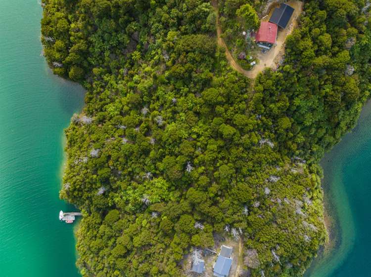 Lot 2 Tamuakawawe, North West Bay Pelorus Sound_8