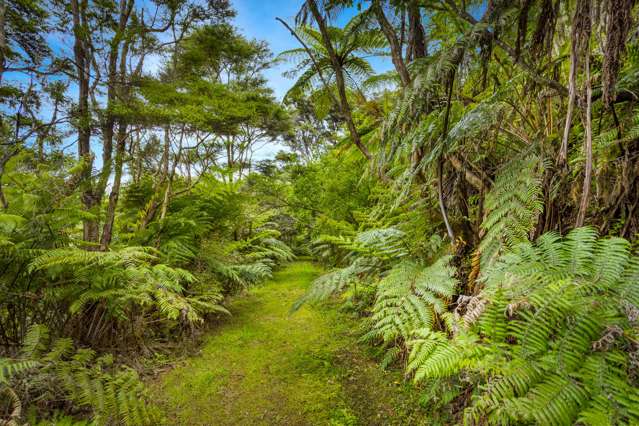 853B Old North Road Waimauku_3
