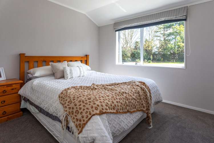 592 Tower Road Turangaomoana_13