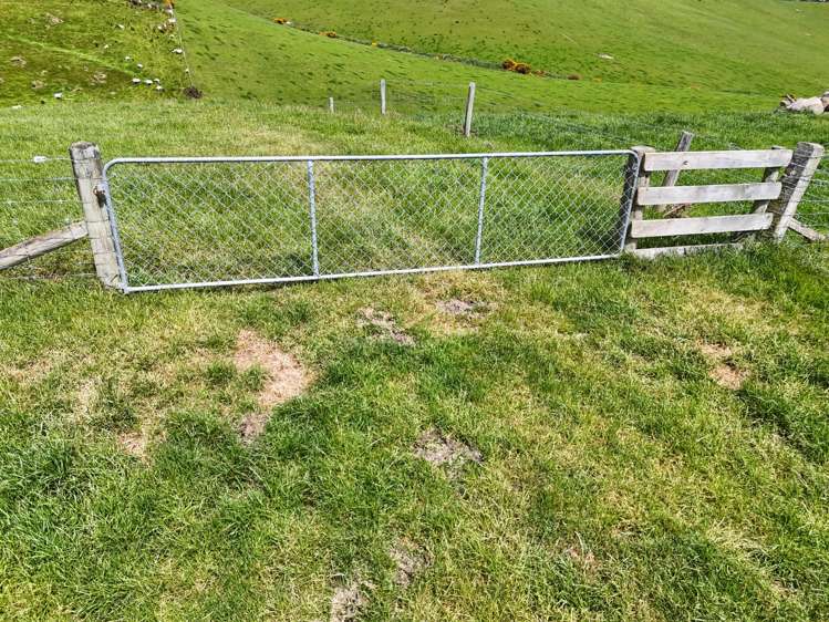 242 Caroline Valley Road Caroline_10