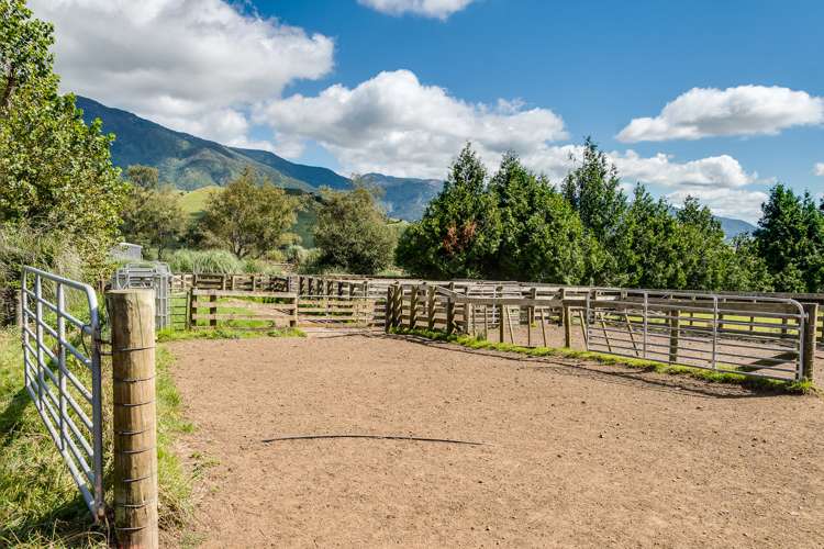 Mangleton Road Central Hawkes Bay Country_12