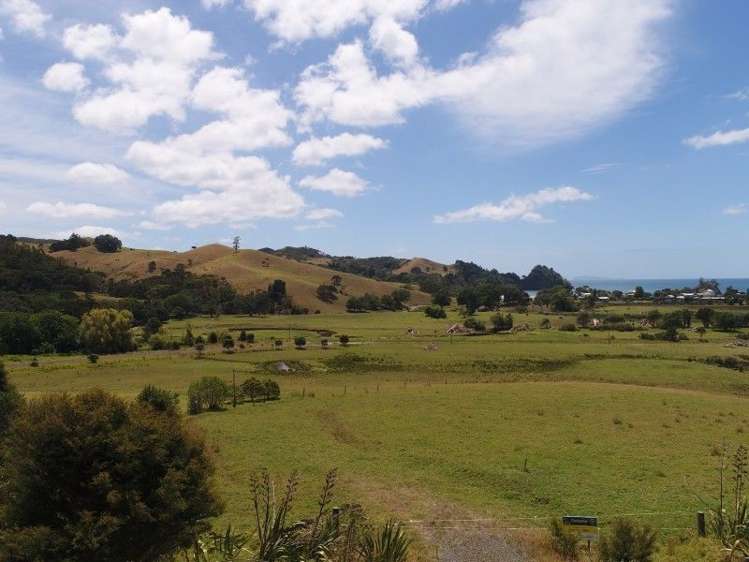 151e Te Punga Road Whangapoua_0