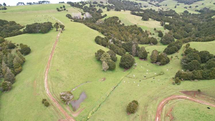 4283 State Highway 12 Dargaville Surrounds_13