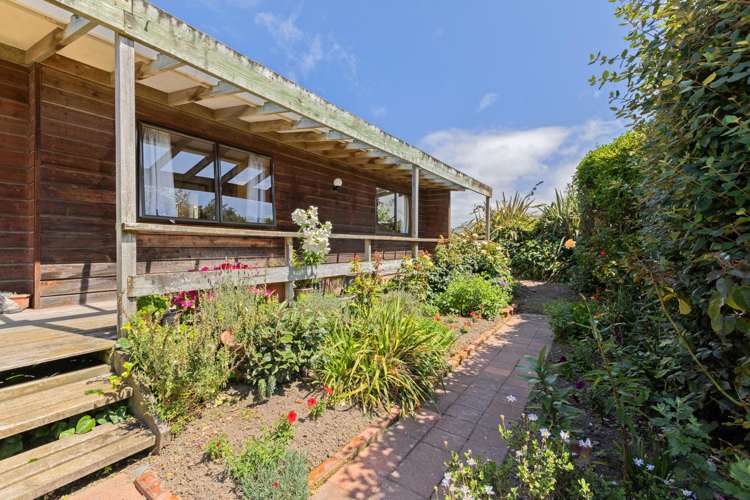 36 Seddon Street Ward_14