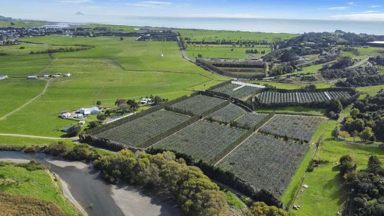 155a Gow Road Opotiki Coastal_6