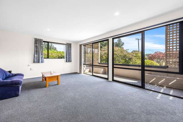 287 Lees Road Kaiapoi_4