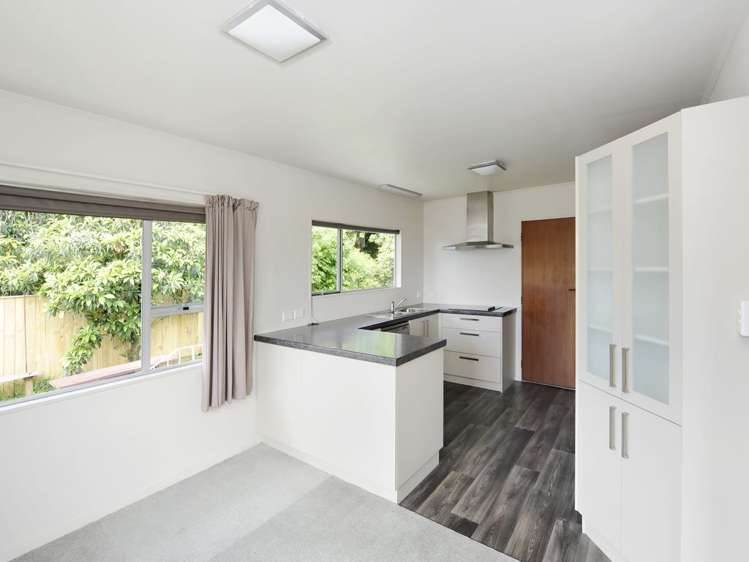 20 Exeter Street Stoke_8