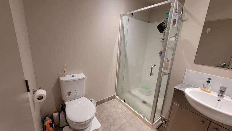 47 Norwood Drive Flat Bush_11