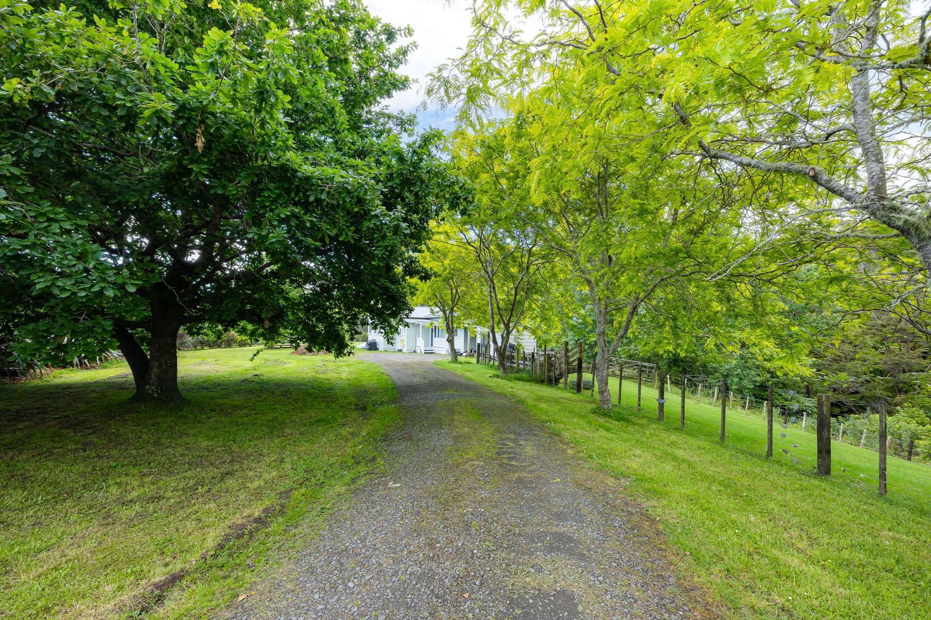 117 Ahuroa Valley Road Ahuroa Rodney Houses for Sale One Roof