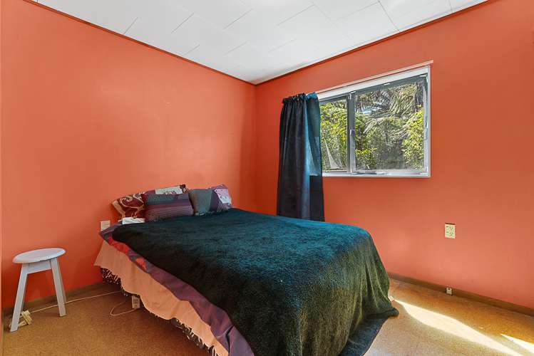 Nikau Bay Kenepuru Sound_13