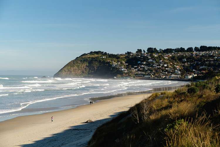 246 Forbury Road Saint Clair_14