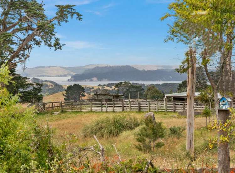 881 Whakapirau Road_2