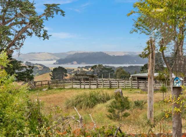 881 Whakapirau Road Whakapirau_2