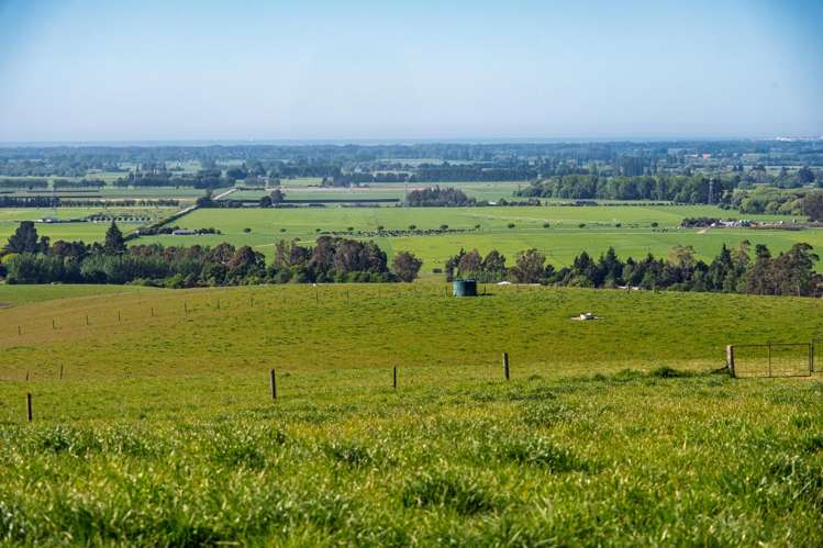 285 Greenvale Road Geraldine_10