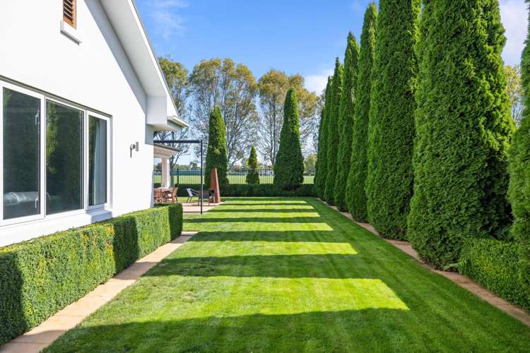 24 Providence Place Redwood_31