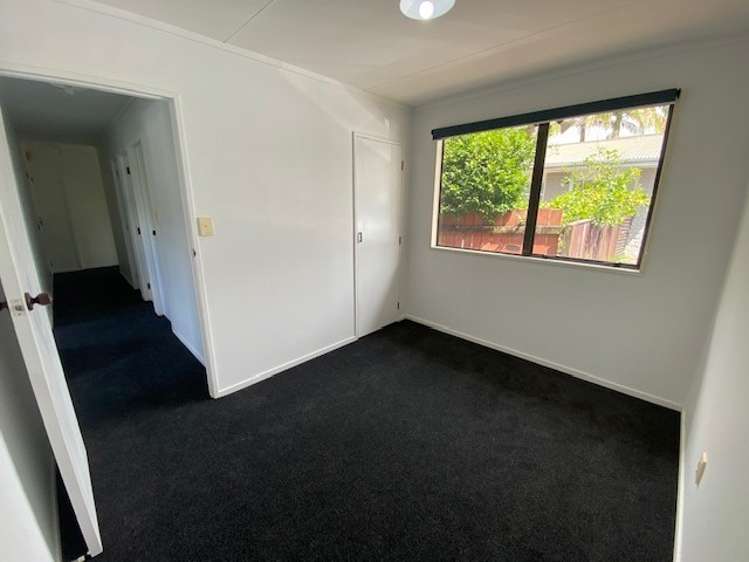 388b Ngatai Road Bellevue_7