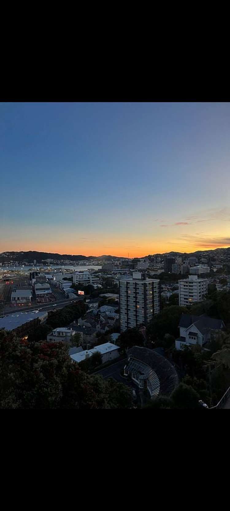 9 Grosvenor Terrace Wadestown_15