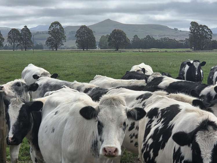 Incholme School Road Incholme_11