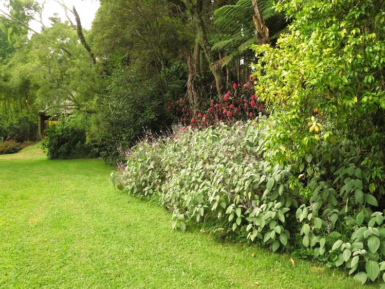 130 Gibbons Road Kaiwaka_28