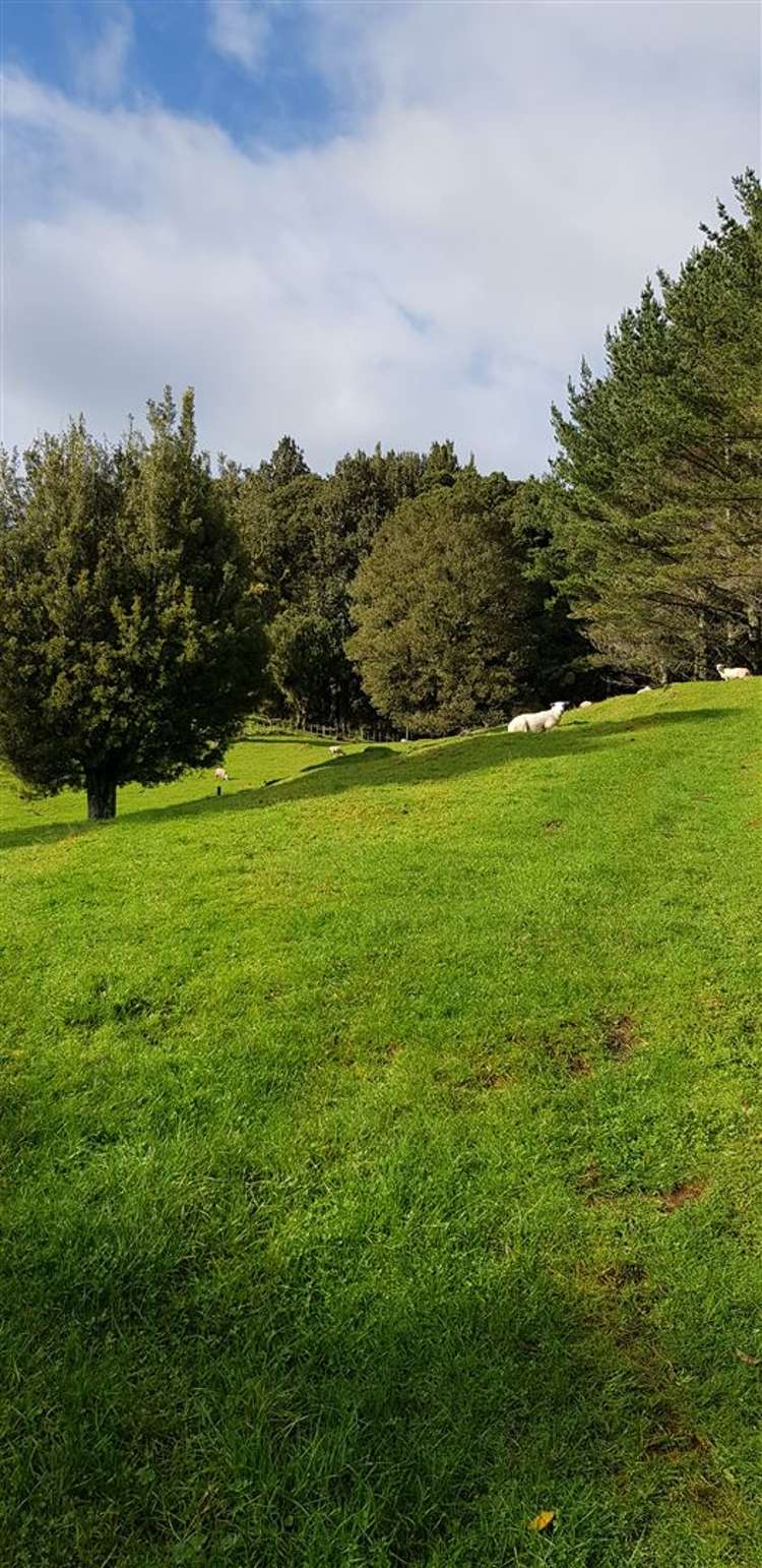 1415 Oparure Road Pomarangai_29