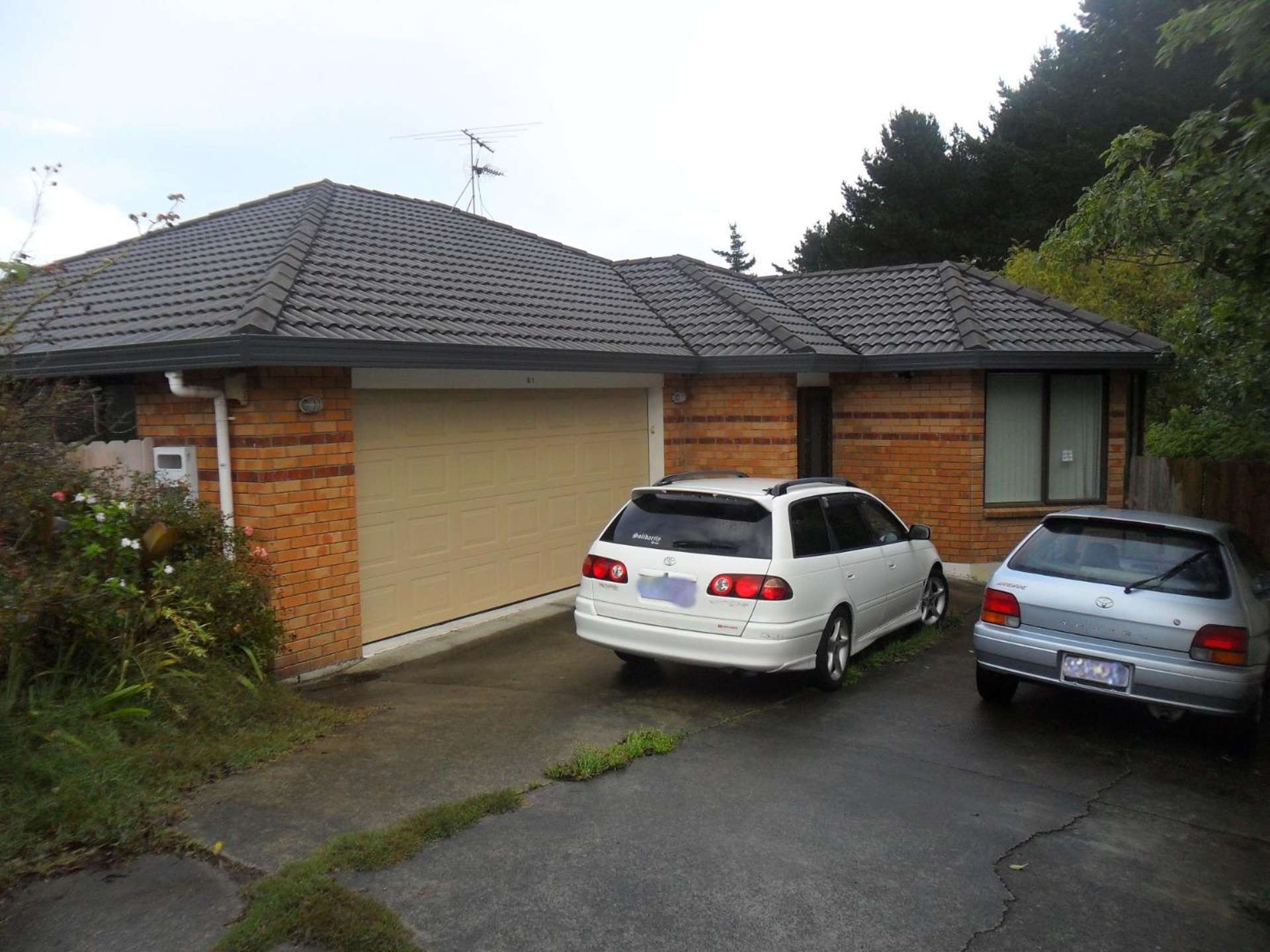 6/1 Arran Street Avondale_0