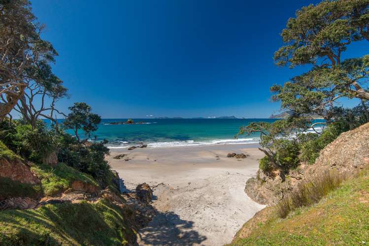 Kauri Mountain Road Whangarei_9