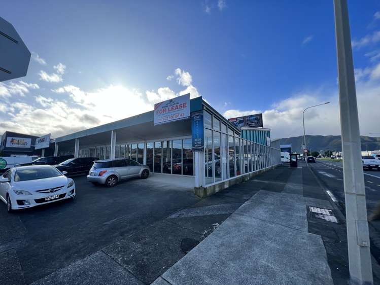 45 Waione Street Petone_0