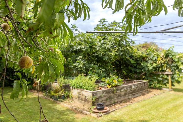 21 Stanley Avenue Te Aroha_19