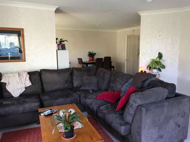 34 Wellington Street Pukekohe_2