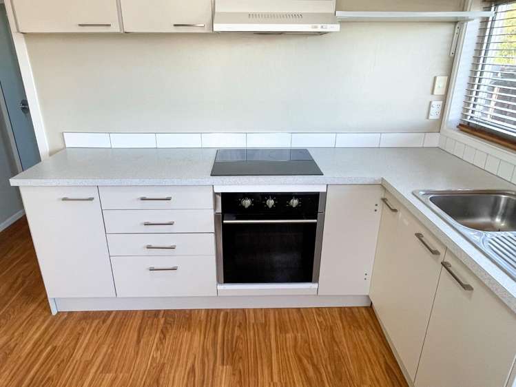 30 Cameron Street Sydenham_1