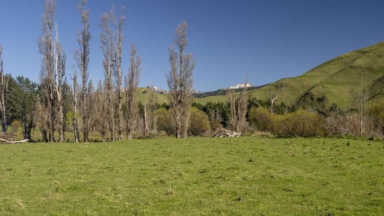 Lot 1 Mikimiki Road Masterton_14