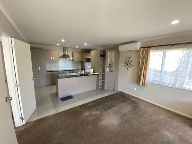 26a Lewis Road Pakuranga_4