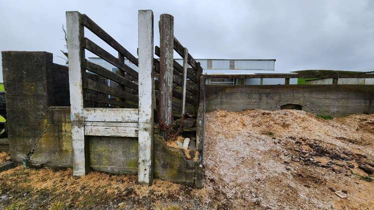 953 Upland Road Egmont Village_24