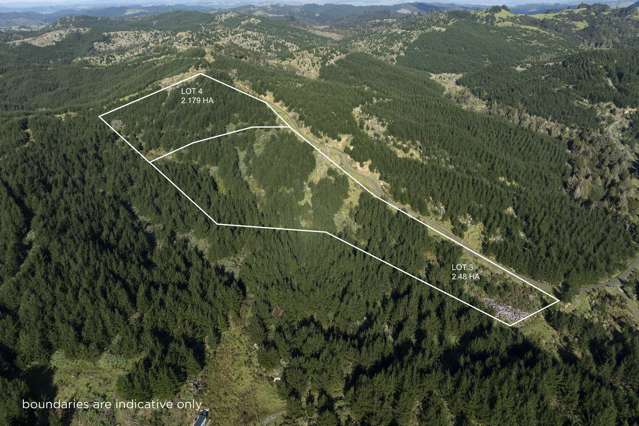 Lot 3 and 4/169 Tunatahi Road Panguru_1