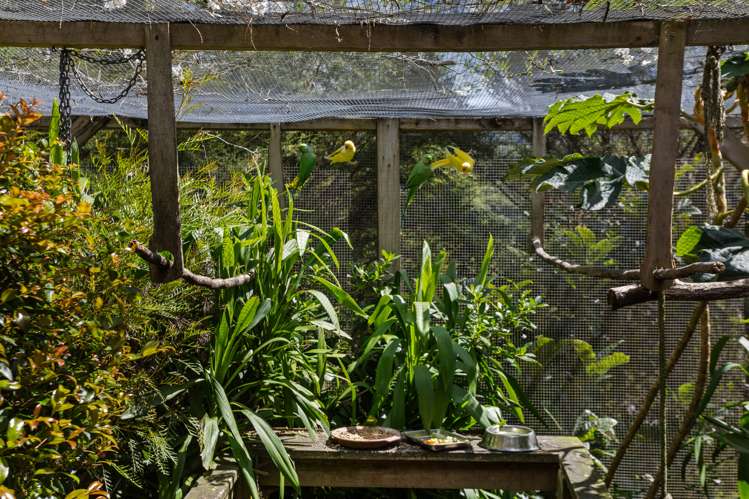 763b White Pine Bush Road Whakatane_17