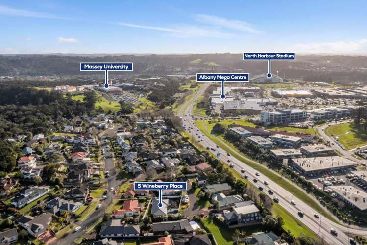 5 Wineberry Place Albany_2