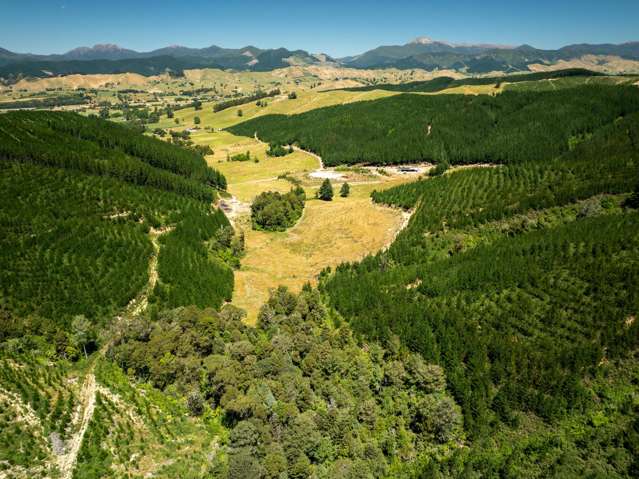 240 Teapot Valley Road Brightwater_4