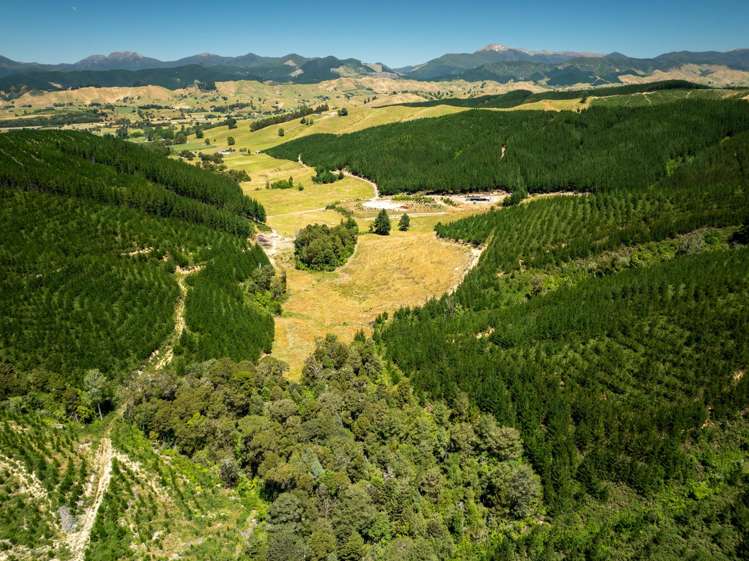 240 Teapot Valley Road Brightwater_19