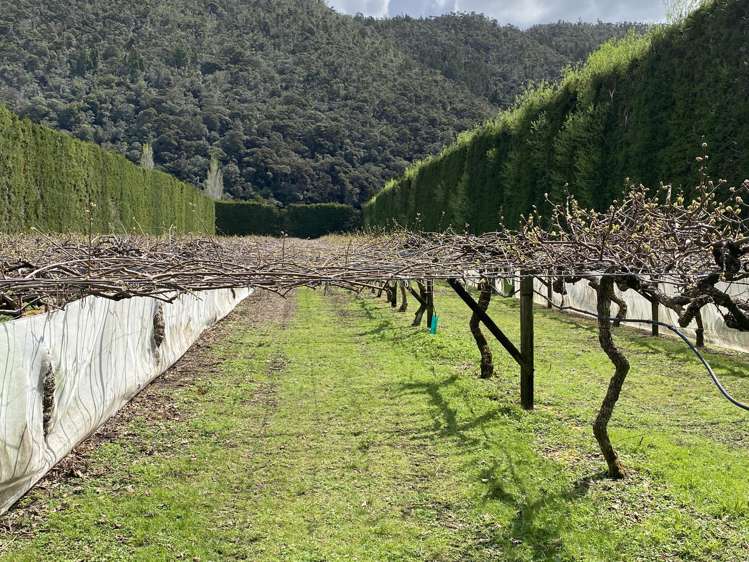 214 Puketui Valley Road Hikuai_3