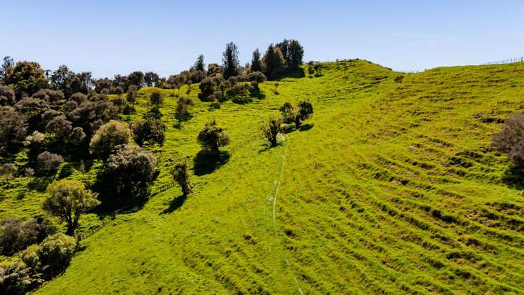 0n Junction Road Matau_20