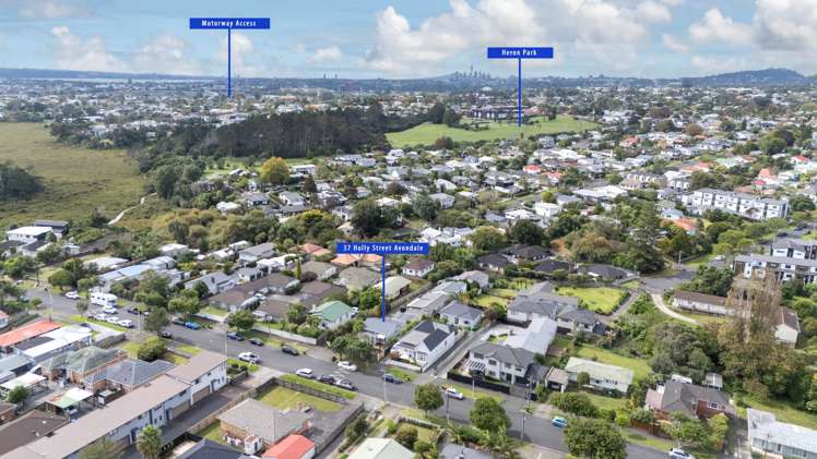 37 Holly Street Avondale_19