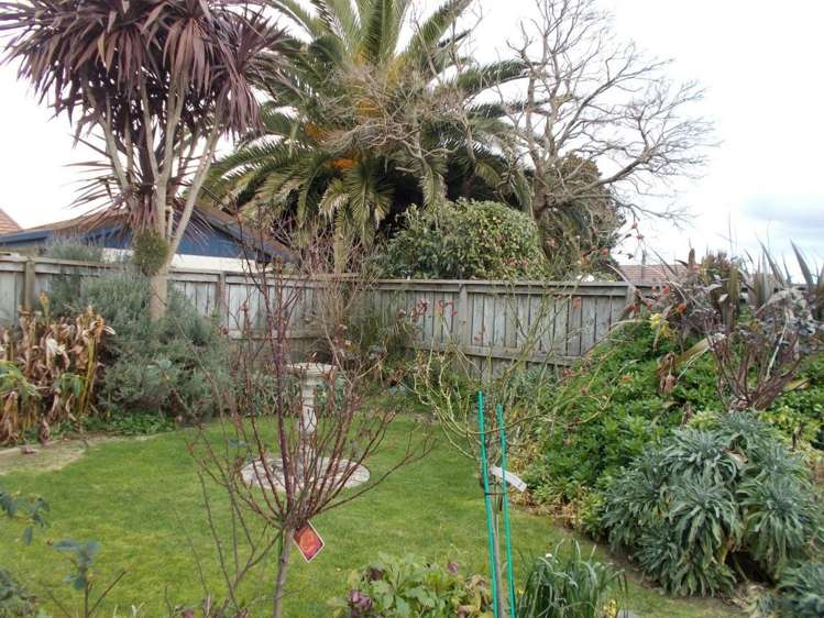 16a Cedar Crescent Matamata_9
