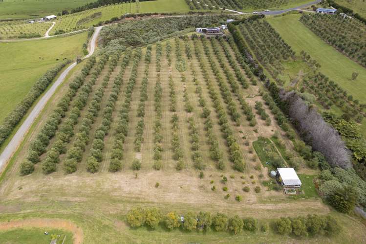 87 Leccino Valley Road Mangonui_43