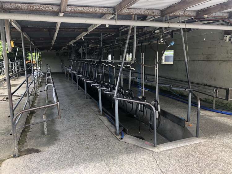 49 Mckinley Road Hauraki Surrounds_9