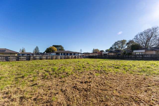 29a Gray Avenue Mangere East_3