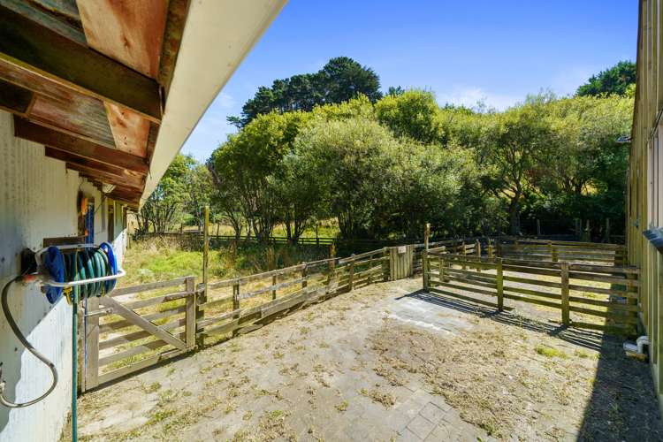 281 Takapu Road Takapu Valley_9