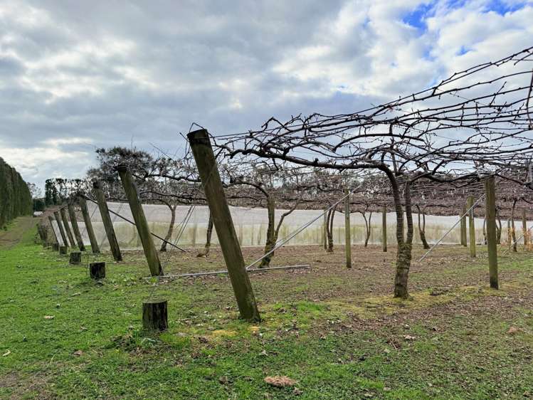 881B Te Matai Road Te Puke_14