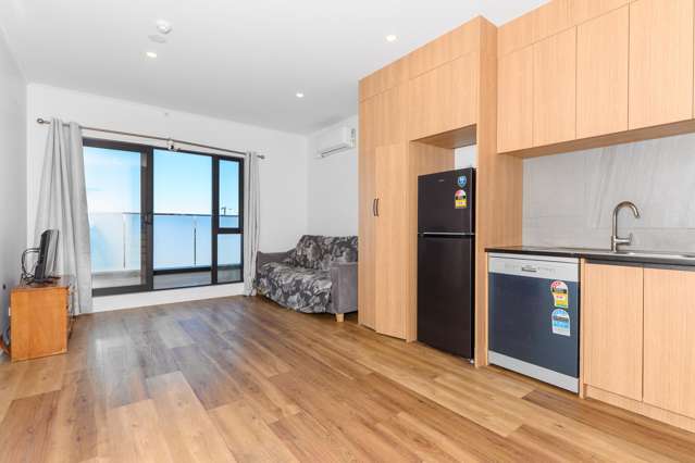 303/48 Clay Works Lane New Lynn_3